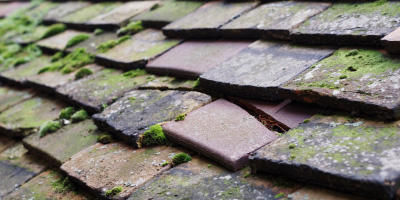 Rhos roof repair costs